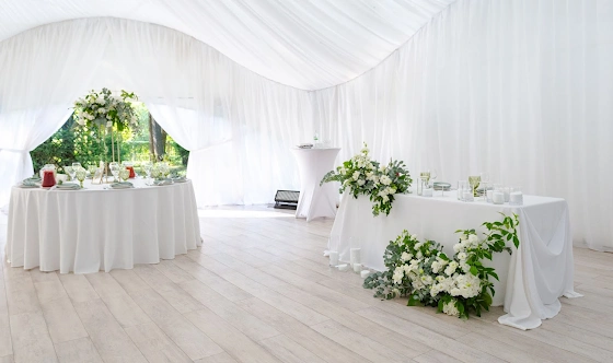 Фото №3 зала Шатёр на Воздушном театре