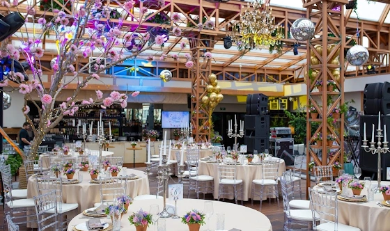 Фото №8 зала Терраса-оранжерея