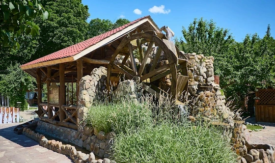 Фото №11 зала Летняя терраса