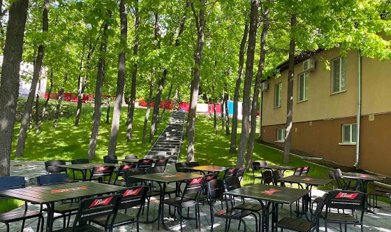 Фото №7 зала Кафе