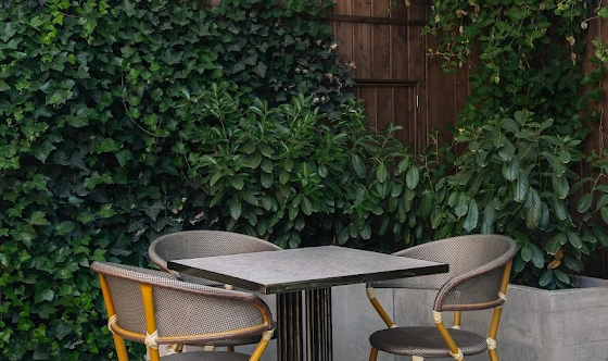 Фото №17 зала Летняя веранда