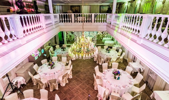 Фото №14 зала Большой парадный зал