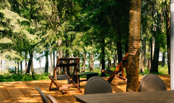 Фото №3 зала Сфера в лесу