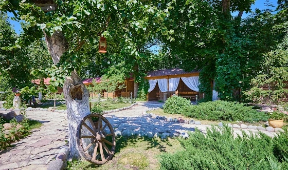 Фото №14 зала Летняя терраса