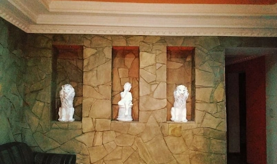 Фото №11 зала Дом 1