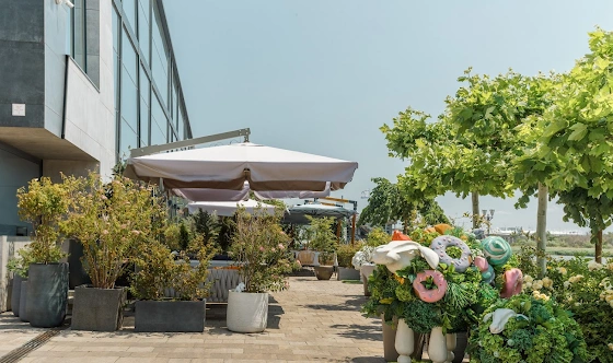 Фото №6 зала Летняя площадка