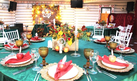 Фото №7 зала Зал «ПЕТRUШКА»