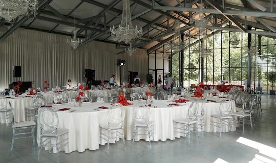 Фото №14 зала Grand «Лесной»