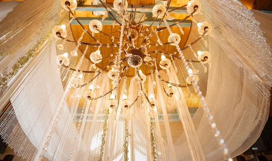 Фото №6 зала Зал «Альпийская дача»