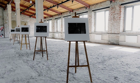 Фото №11 зала Лит. Д