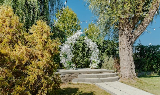 Фото №10 зала Зал "Оливковый"