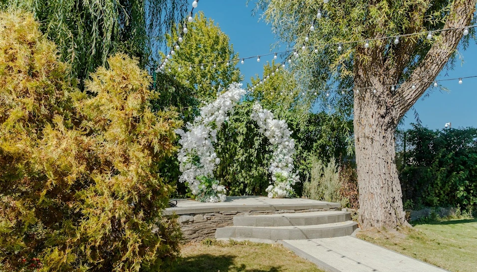 Фото №10 зала Зал "Оливковый"