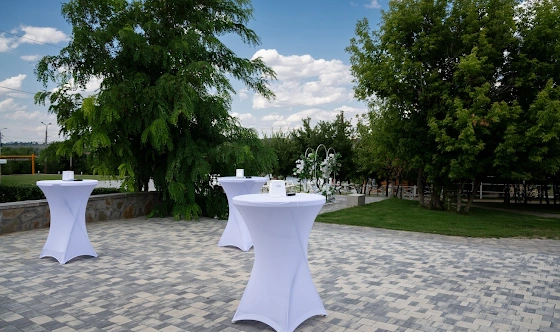 Фото №10 зала Малый шатер