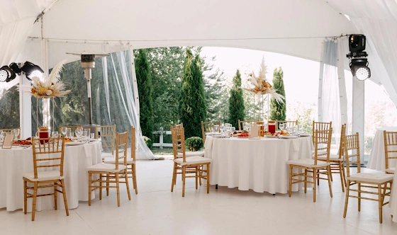 Фото №5 зала Шатер Панорама