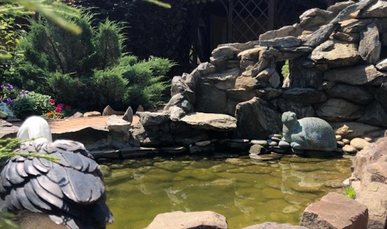 Фото №11 зала Зал «Летний»