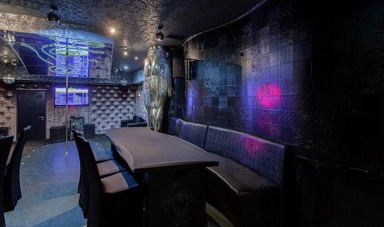 Фото №4 зала Зал «Караоке Вип»