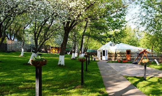 Фото №7 зала Дворик