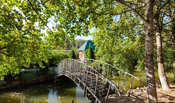 Фото №4 зала Домики