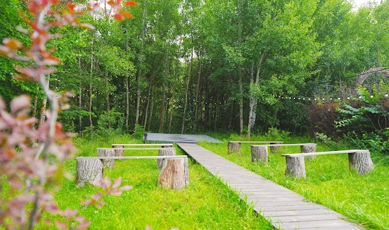 Фото №16 зала Купол