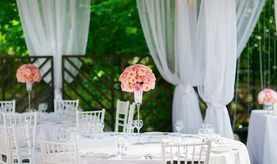 Фото №8 зала Летняя веранда