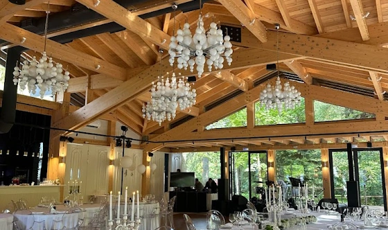 Фото №19 зала Большой банкетный зал