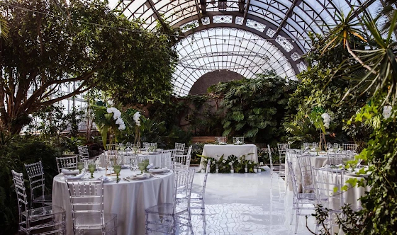 Фото №2 зала Оранжерея 