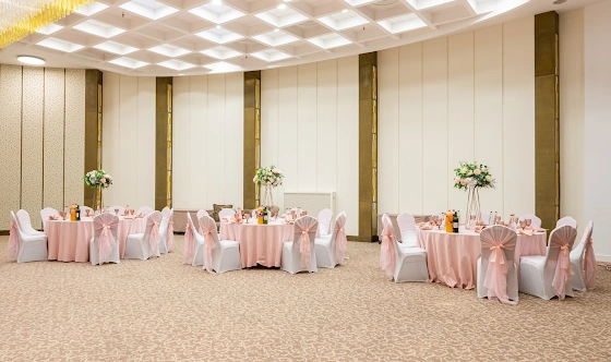 Фото №20 зала Зал «Россини» 