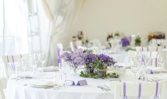 Фото №11 зала Малый шатер