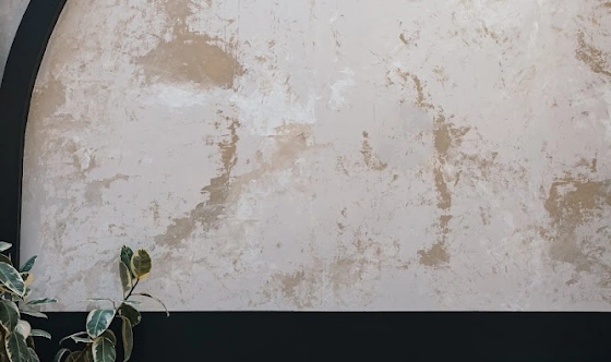 Фото №20 зала Основной зал