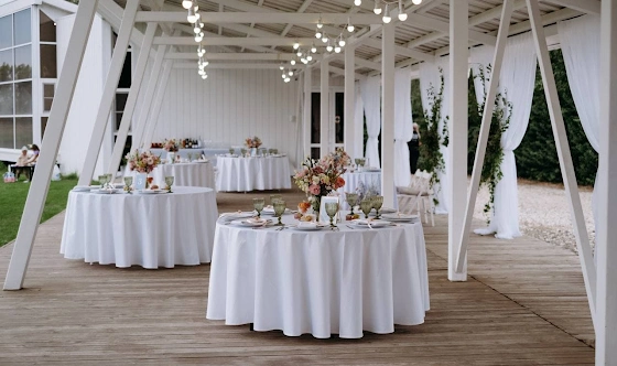 Фото №1 зала Летняя терраса