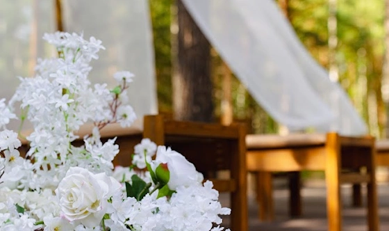 Фото №12 зала Площадка для выездной церемонии