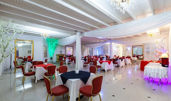 Фото №13 зала Зал «Элизиум»