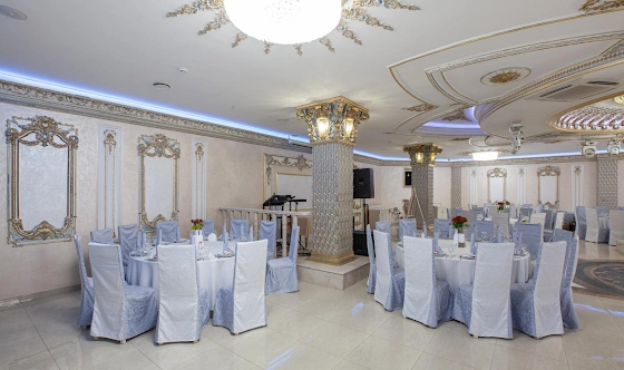 Фото №12 зала Зал «Серебряный»