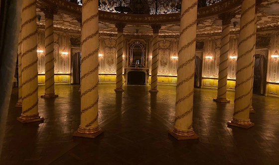 Фото №15 зала Золотой зал