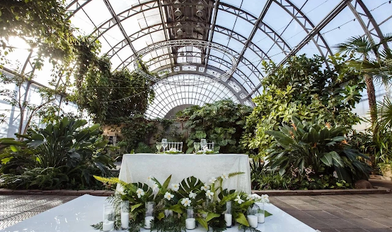 Фото №3 зала Оранжерея 