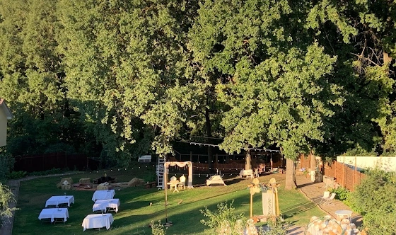 Фото №8 зала Зеленая площадка