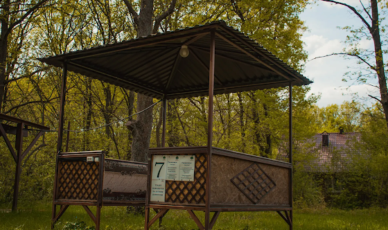 Фото №7 зала Беседки (8 штук)