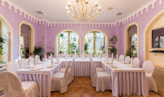 Фото №1 зала VIP-зал