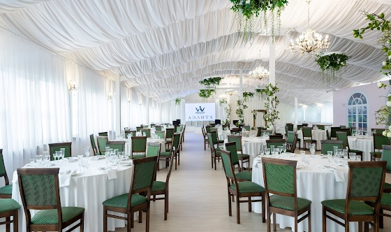 Фото №2 зала Зал «Аэлита»