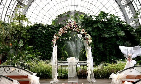 Фото №19 зала Оранжерея 