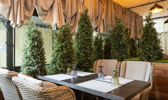 Фото №10 зала Летняя веранда