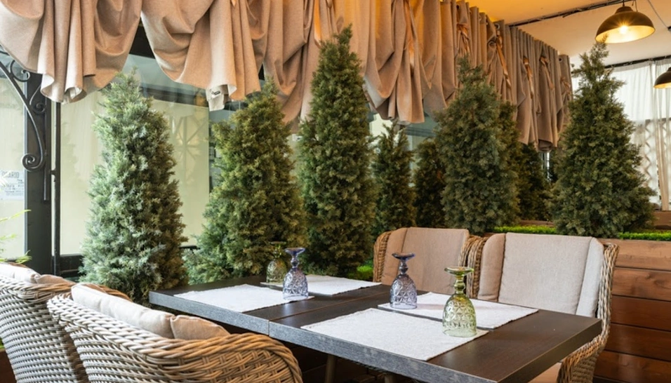 Фото №10 зала Летняя веранда