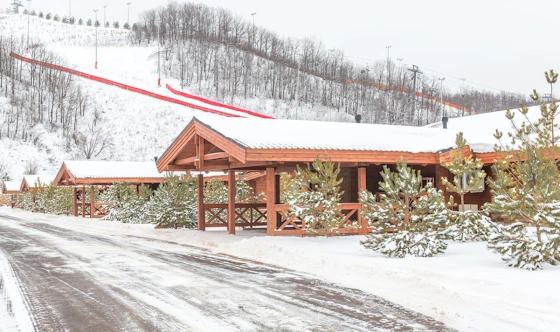 Фото №9 зала Альпийские дома "Западный поселок"