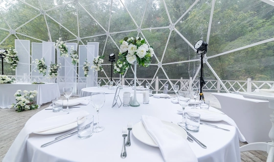 Фото №17 зала Шатер «Лесная сфера»