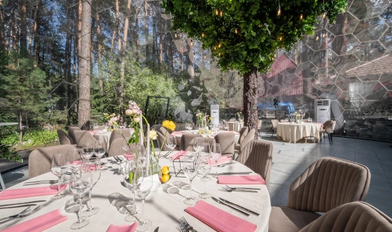 Фото №7 зала Эйва