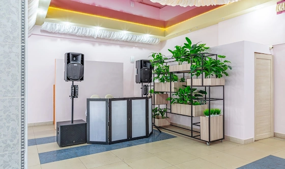 Фото №15 зала Зал "Свадебный"