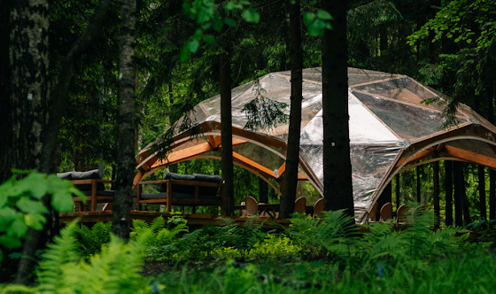 Фото №5 зала Сфера в лесу