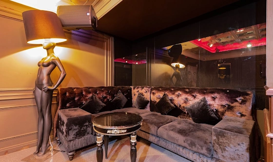 Фото №10 зала VIP-комната