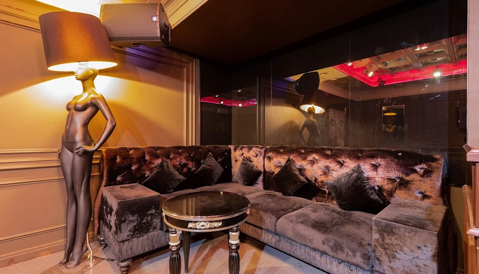 Фото №10 зала VIP-комната