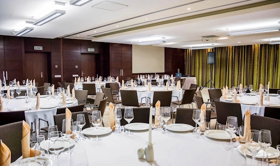 Фото №12 зала Зал «Калуга»